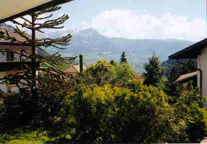 Der Garten vor Wohnung Nr. I